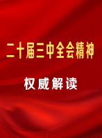 学习贯彻党的二十届三中全会精神专栏