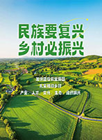 推进乡村全面振兴