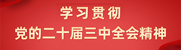 学习贯彻党的三中全会精神